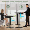 45" Office Electric Standing Desk with 2 Drawers Adjustable Height Desk Black