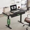 45" Office Electric Standing Desk with 2 Drawers Adjustable Height Desk Black