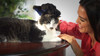 True Glove DeShedding Touch Glove for Gentle and Efficient Pet Grooming