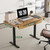 45" Office Electric Standing Desk with 2 Drawers Adjustable Height Desk