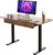 45" Office Electric Standing Desk with 2 Drawers Adjustable Height Desk