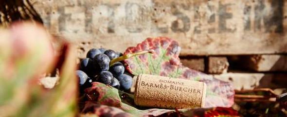 Barmes-Buecher,  Pinot Noir Vieilles Vignes 2007