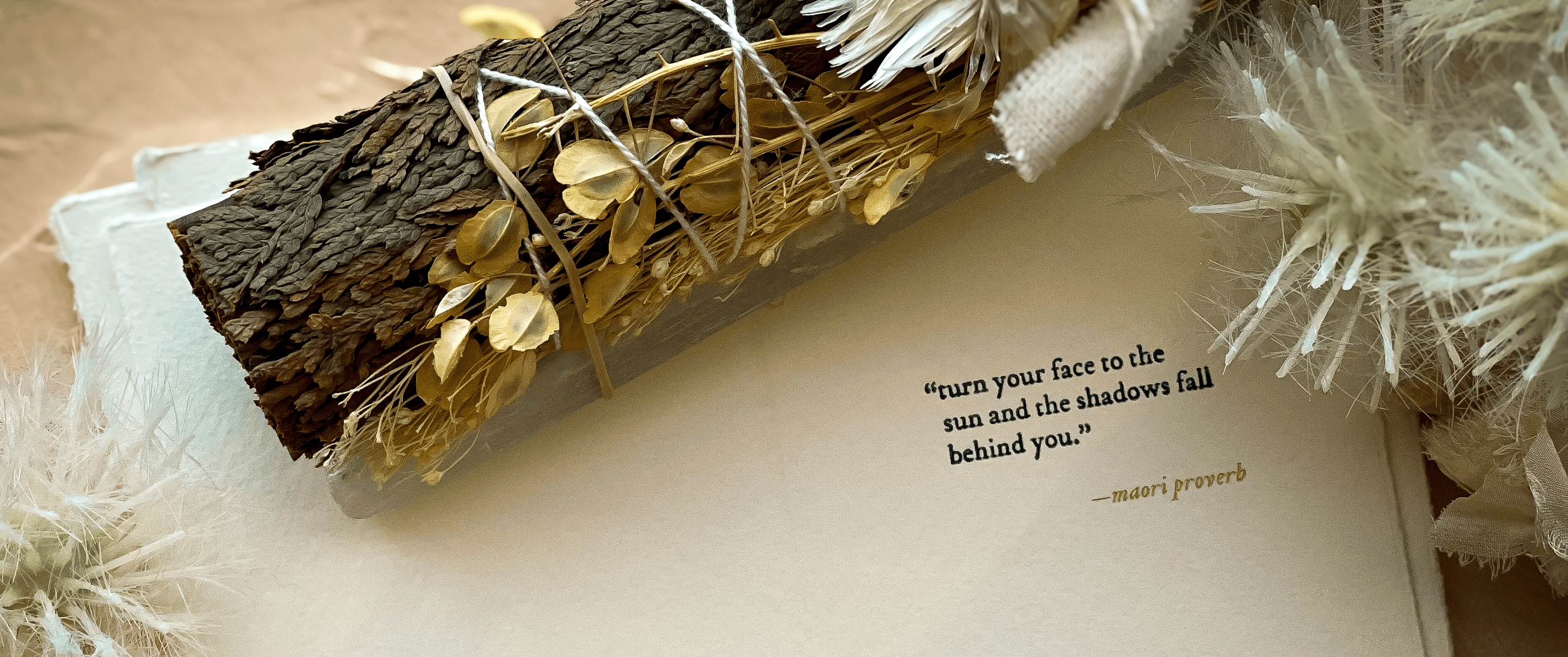 Looking for the Light