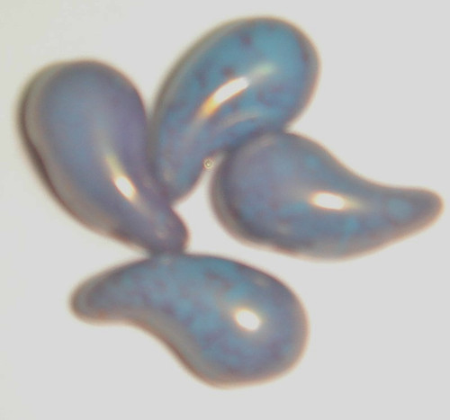 Turquoise Terracotta Red 5x8mm Right Zoliduo 63020-15495