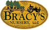 BRACYS NURSERY