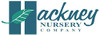 HACKNEY NURSERY COMPANY