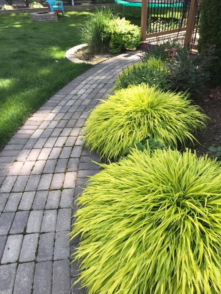 Grass Japanese Forest #1 - Cofer's Home & Garden