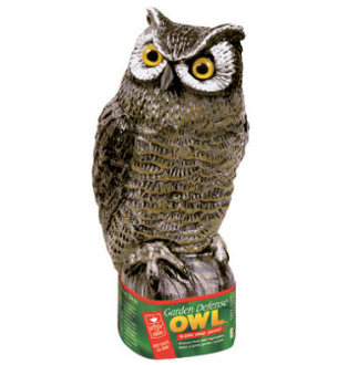 Scarecrow Owl Cofer's Home & Garden