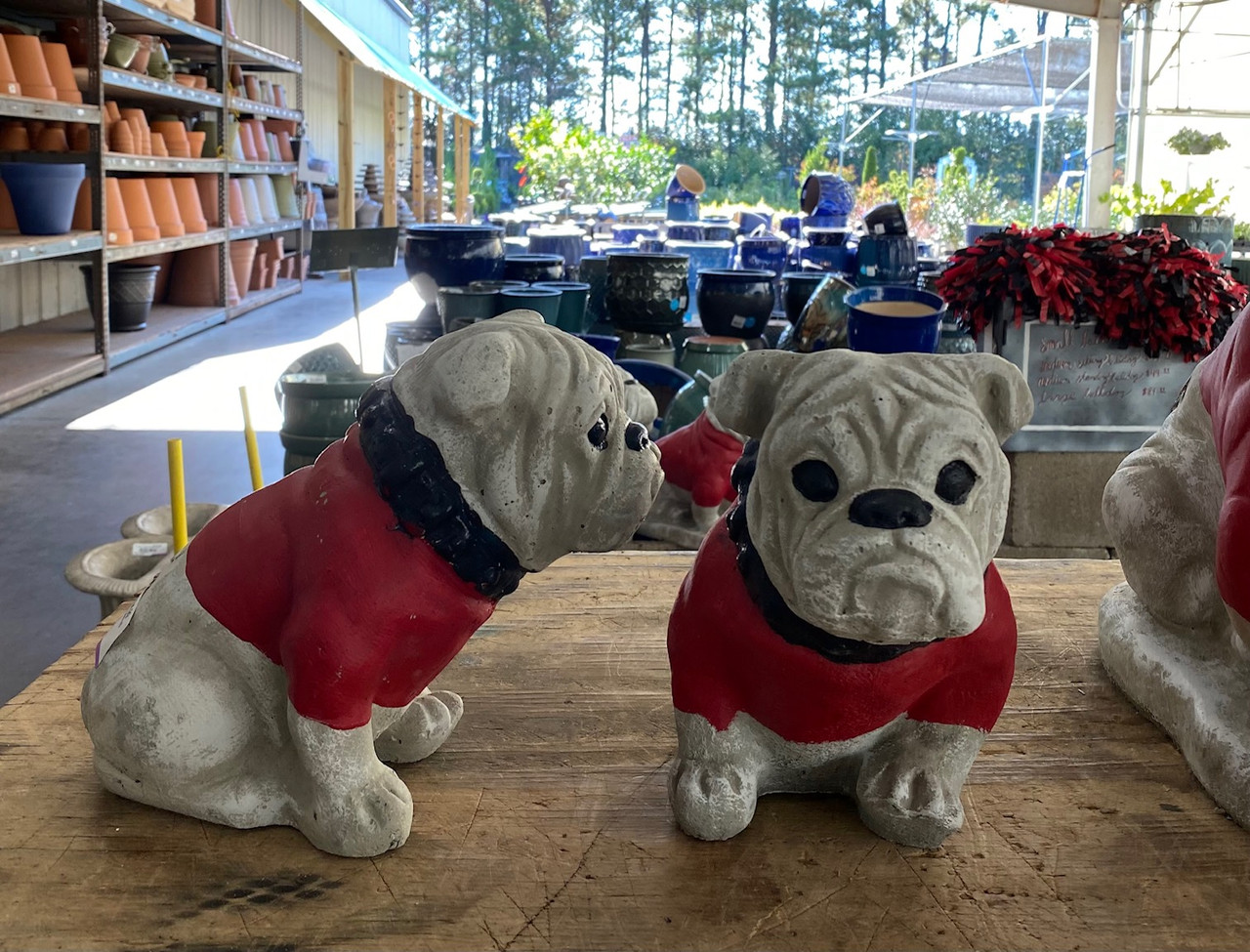 BULLDOG SITTING SMALL PAINTED - Cofer's Home & Garden