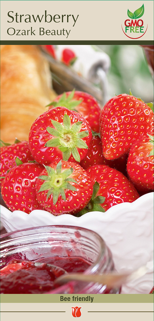 Strawberry Ozark Beauty 15P Cofer's Home & Garden