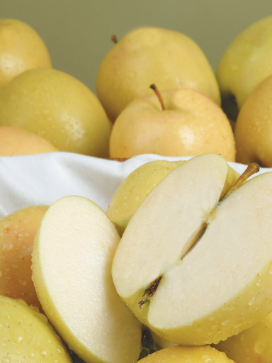 Apple 'Ein Shemer' 5 Cofer's Home & Garden