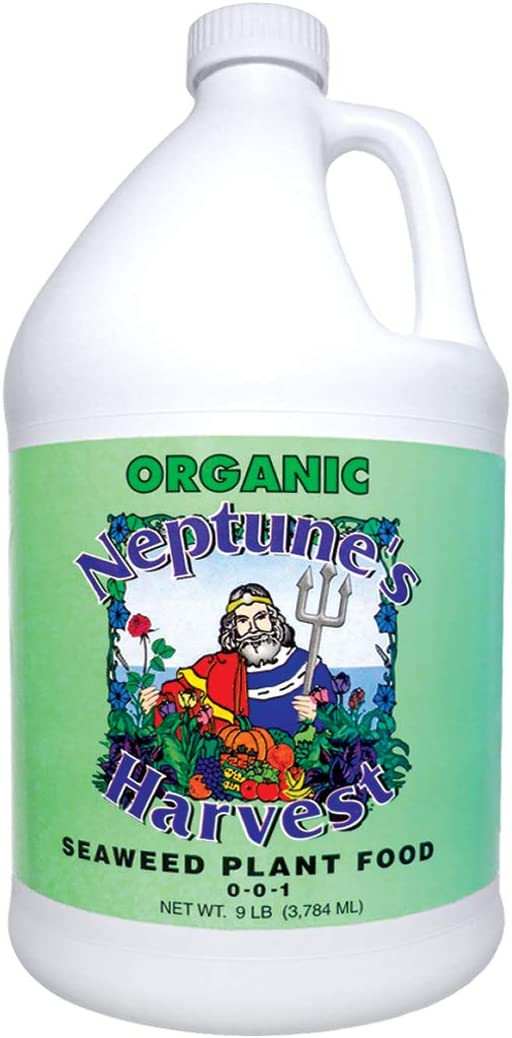 Neptunes Harvest SEAWEED 1 Gallon Cofer's Home & Garden