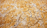 Keeping Lawns Green During Droughts
