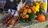 Autumn Flower Box Ideas