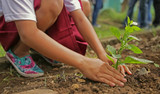 Planting Pointers
