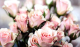 Ring Around The Roses