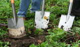 Top 10 Tips for New Gardeners