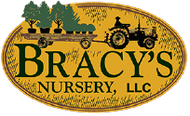 BRACYS NURSERY