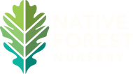 NATIVE FOREST NURSERY