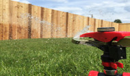 Summer Maintenance for Southern Lawns