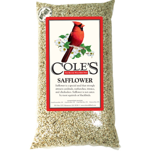 niger seeds coles