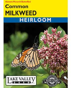LV Seed Milkweed Common