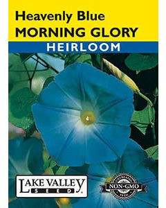 LV Seed Morning Glory Heavenly Blue