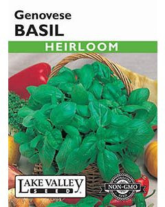 Lake Valley Seed Basil Genovese