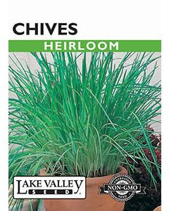 Lake Valley Seed Chives Heirloom