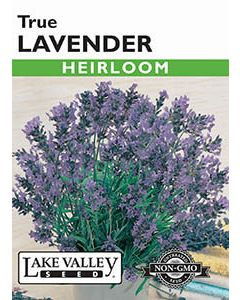LV Seed Lavender True Heirloom