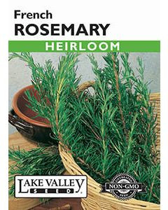 LV Seed Rosemary French Heirloom