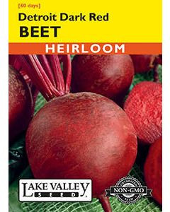 LV Seed Beet Detroit Dark Red