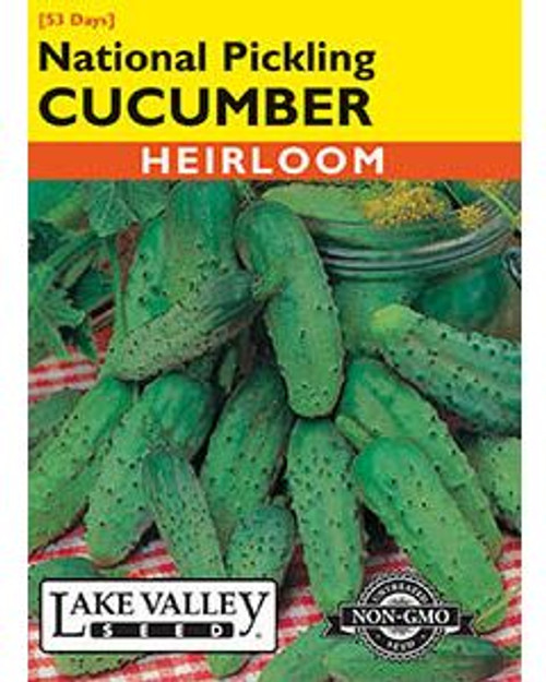 LV Seed Cucumber National Pickling