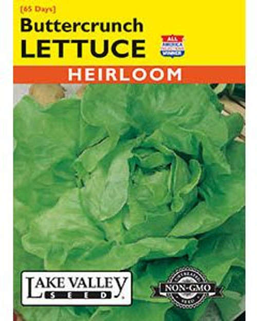 LV Seed Lettuce Buttercrunch