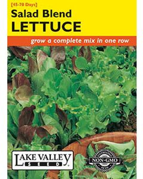 LV Seed Lettuce Salad Blend