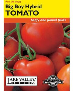 LV Seed Tomato Pole Big Boy