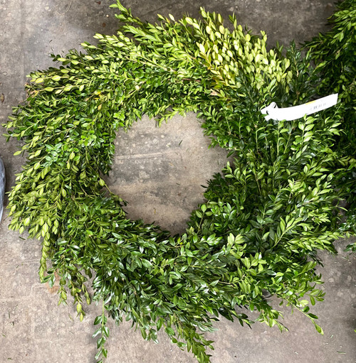 WREATH BOXWOOD 20IN