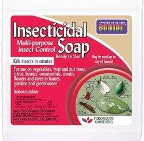 INSECTICIDAL SOAP RTU QT