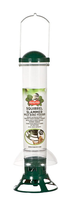 SQUIRREL SLAMMER FEEDER