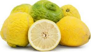 CITRUS PONDEROSA  LEMON #2