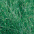 Grass 'Fiber Optic' 12.99