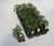 Tomato Papa Joe's Beefsteak 3.5 Inch