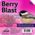Suet Cake Berry Blast 11.25 Ounce