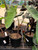 Colocasia Mojito 1 Gallon