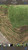 SOD ZOYSIA BY STRIP