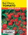 LV Seed Tomato Bush Cherry Red
