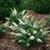 Pugster White® Butterfly Bush with full, white blooms
