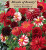 DAHLIA  RED BLEND 3PP