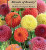 DAHLIA POMPON BLEND 3PP #1