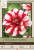 DAHLIA JAMAICA  2PP
